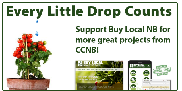 buylocalsupport