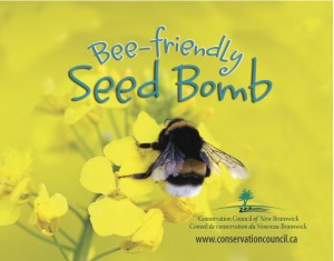 seed card-Apr 14-5