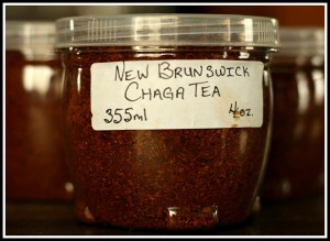 Chaga_Tea_Joe_Gee