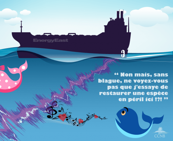 Laissez les baleines flirter! Les navires-pétroliers bruyants associés à l'oléoduc Énergie Est de TransCanada stresseront et désorienteront les baleines cherchant de la nourriture, et cherchant l'une après l'autre.