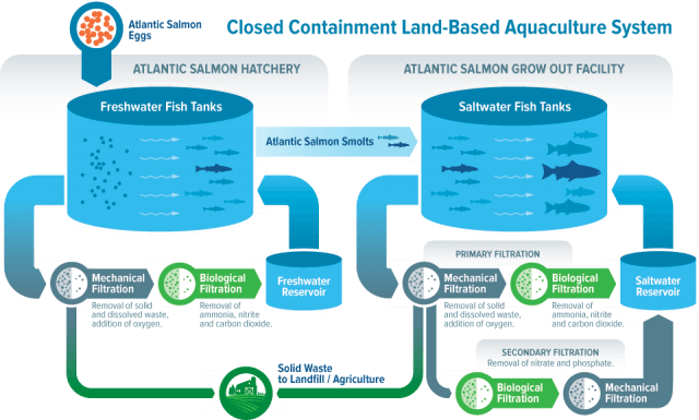 closed-containment-land-based-aquaculture-system