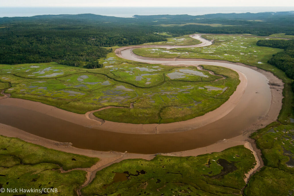 Salt Marsh, Musquash Estuary Marine Protected Area, New Brunswick. Nick Hawkins / Conservation Council of New Brunswick 