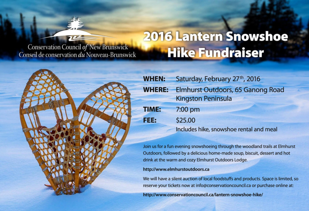 2016-Lantern-Snowshoe-Hike-Fundraiser