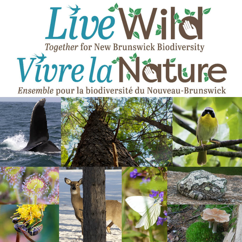 Live Wild - Vivre la Nature - Biodiversity Collage(for all)-1
