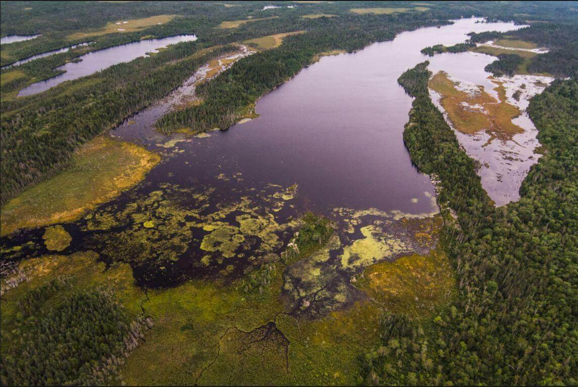 Lakes and forests along the Bay of Fundy coast.