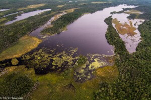A dynamic mosaic of Acadian forest and freshwater wetlands in southern New Brunswick.
