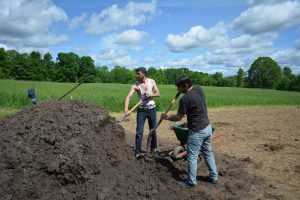 DSC_0003 (2) - Copy resize