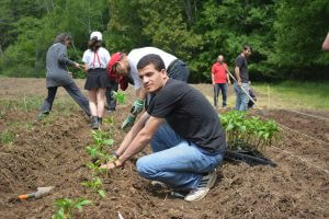 DSC_0104 (2) - Copy resize