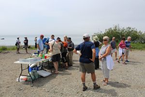 IMG_0517
