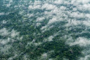 14138261_10157417074220051_1892619921332848557_o-1