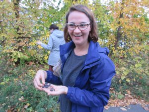 Riverbank grapes are found all along the trail as well! These edible grapes are tart, but yummy, great for jams and jellies! (always be sure you’ve identified wild foods correctly before eating!)