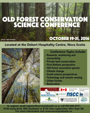 old-forest-conference-poster-small