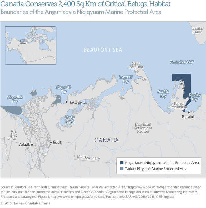 beluga_habitat