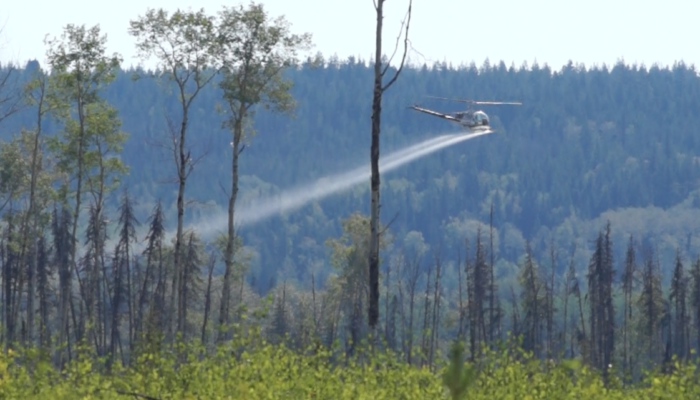 StopSpraying2018 StopSpraying2018
