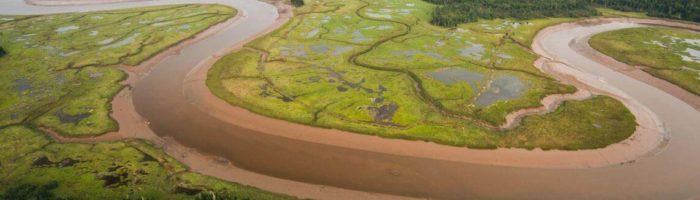 Musquash-Hawkins Salt marsh in the Musquash Estuary Marine Protected Area, N.B. Nick Hawkins Photography