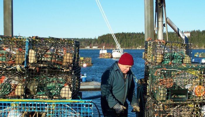 Lobster_fisher_BoF Lobster_fisher_BoF