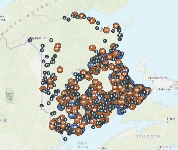 November’s wicked wind storm in photos and tweets CCNB