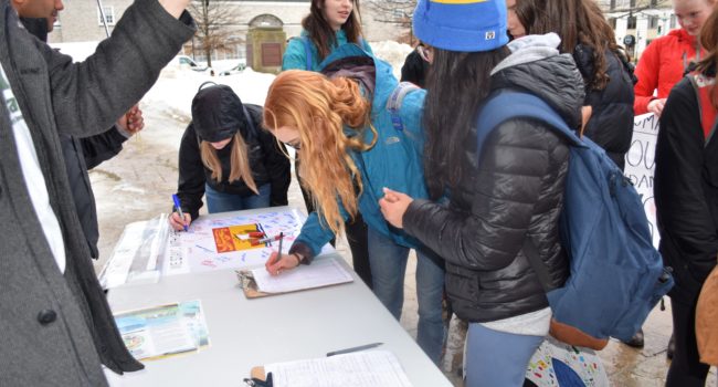 FridayForFuture24