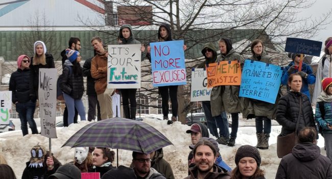 FridayForFuture3