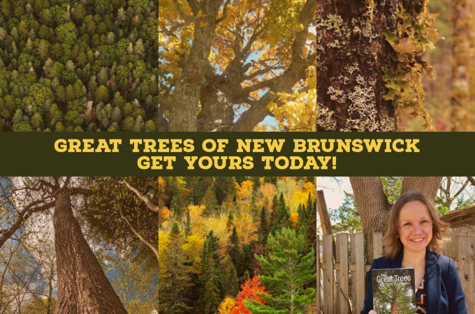 Great Trees Book Feature Great Trees Book Feature