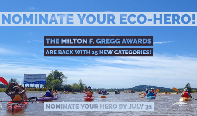 nominate eco hero nominate eco hero