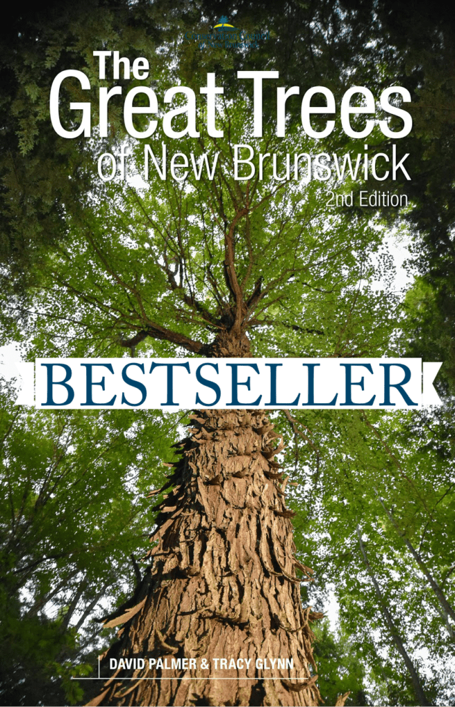 Great Trees Cover bestseller