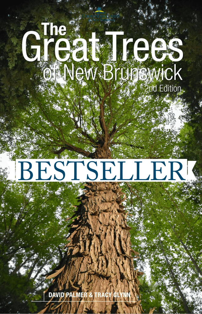 Great Trees Cover bestseller Great Trees Cover bestseller