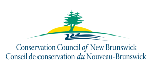 CCNB logo HR Vector
