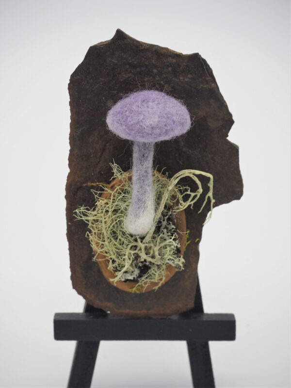 Amethyst Deceiver (Laccaria amethystine) - Image 3