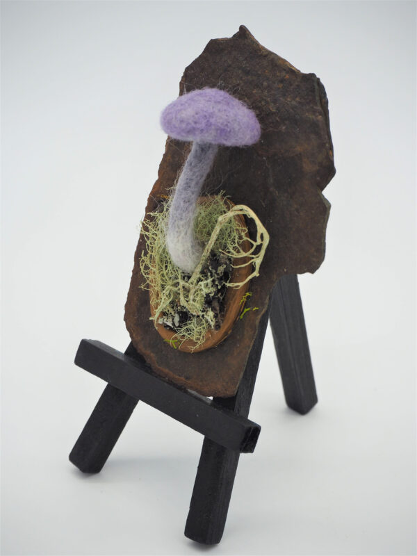 Amethyst Deceiver (Laccaria amethystine) - Image 4