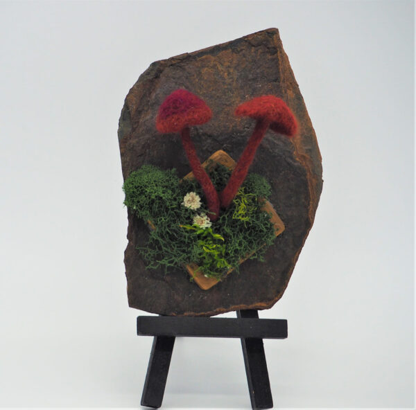 Crimson Wax Cap (Hygrocybe punicea)