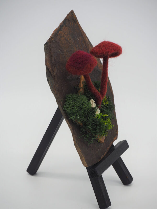 Crimson Wax Cap (Hygrocybe punicea) - Image 3