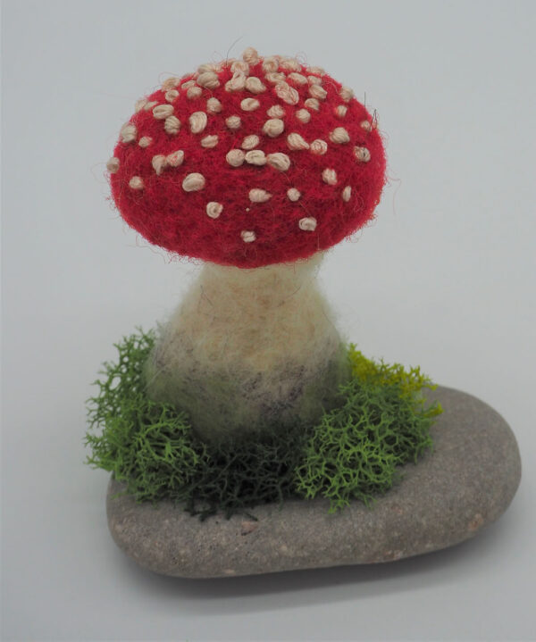 Red Fly Agaric (Amanita muscaria)