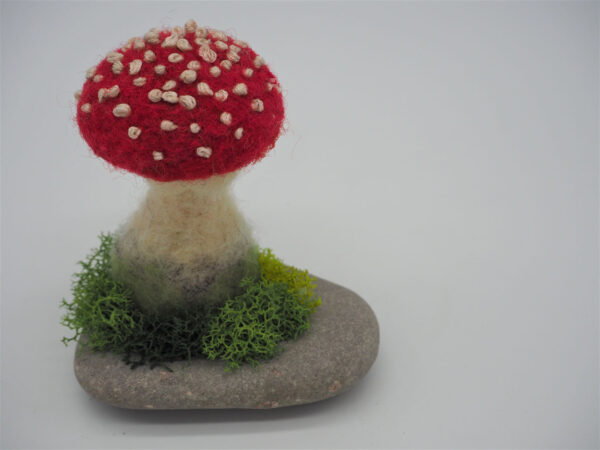Red Fly Agaric (Amanita muscaria) - Image 2