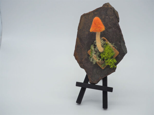 Witch’s Hat (Hygrocybe conica) - Image 4