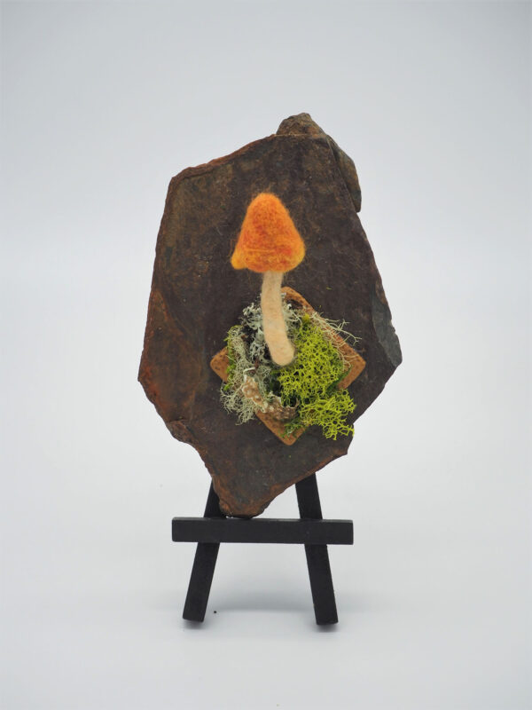 Witch’s Hat (Hygrocybe conica) - Image 3