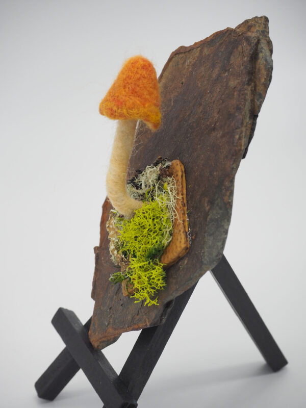 Witch’s Hat (Hygrocybe conica) - Image 5
