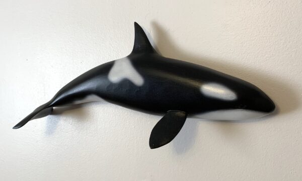 ‘Joy’ (Orca / Killer Whale) - Image 4
