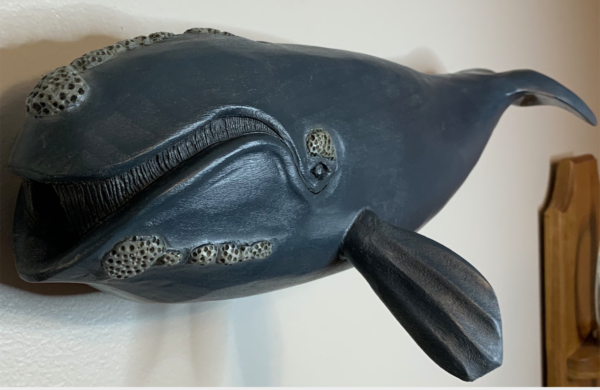 ‘Popcorn’ (North Atlantic Right Whale) - Image 2