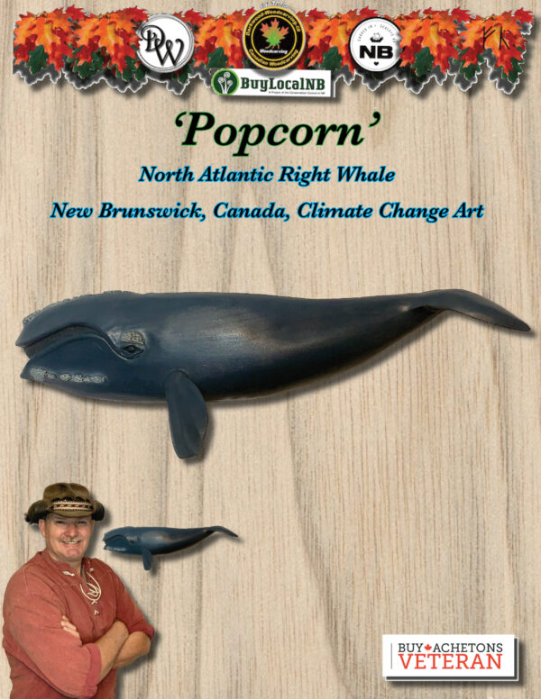 ‘Popcorn’ (North Atlantic Right Whale) - Image 4