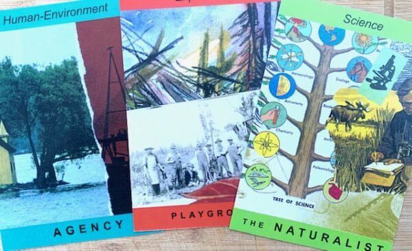 "Nature of Nature" Deck of Cards (54 cards) - Image 3