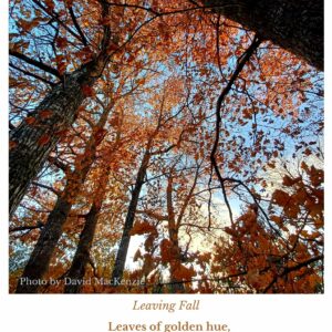 Leaving Fall