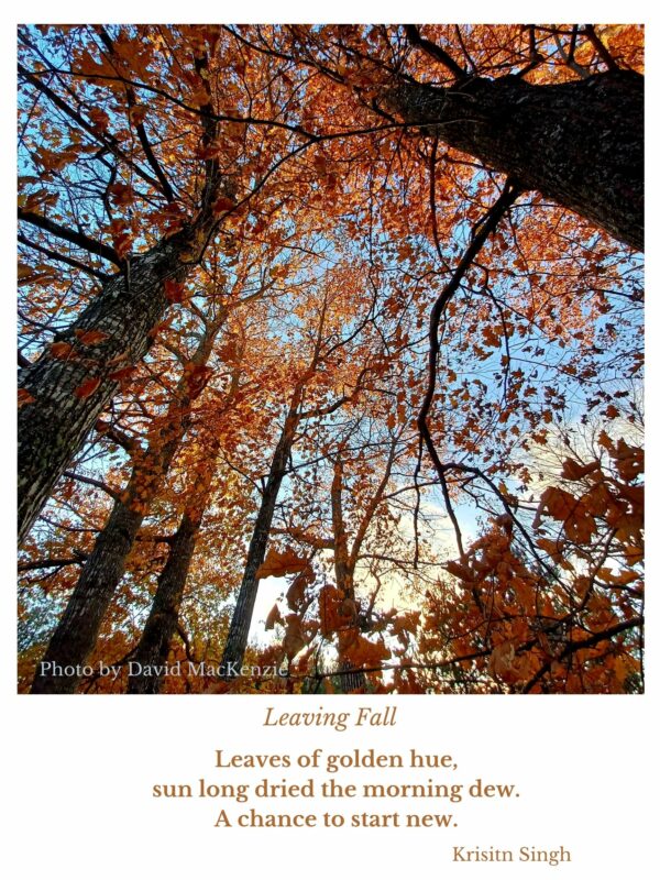 Leaving Fall