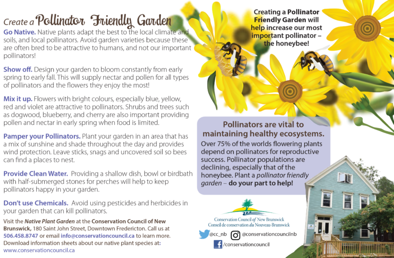 pollinatorpostcards-2016-5