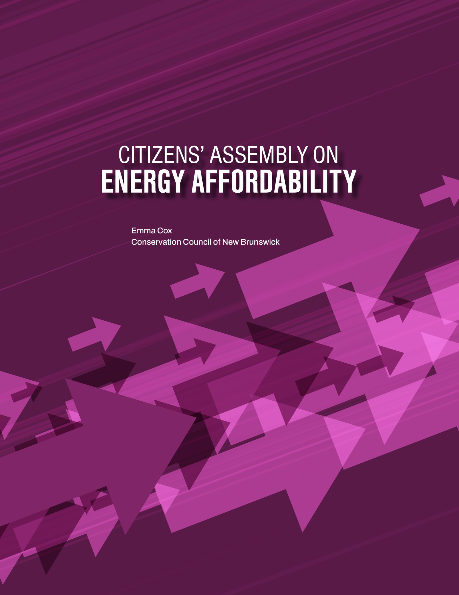 New Brunswick Citizens’ Electricity Affordability Roadmap CCNB