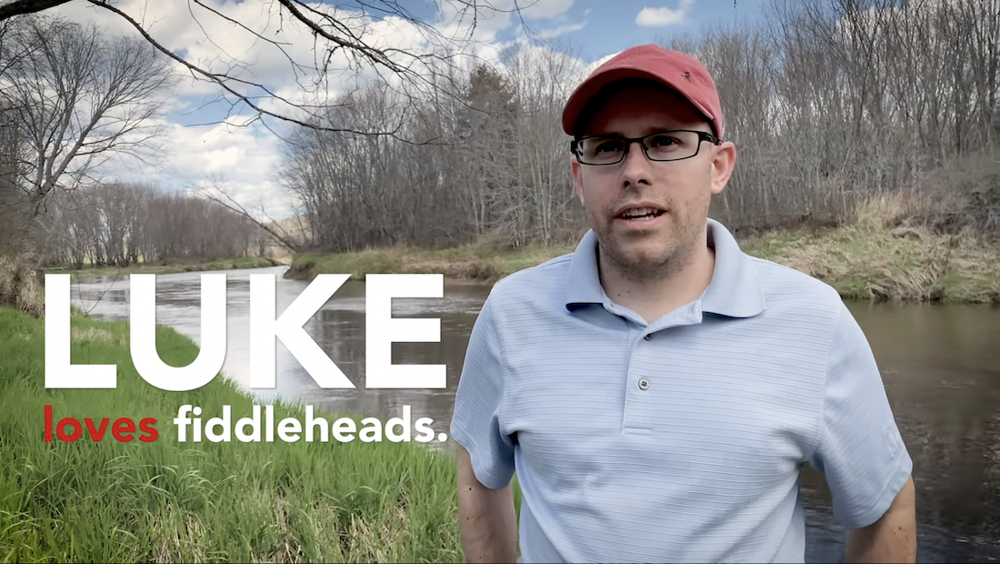 Luke Loves Fiddleheads