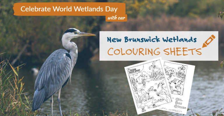 World Wetlands Day 2023-1 (2)